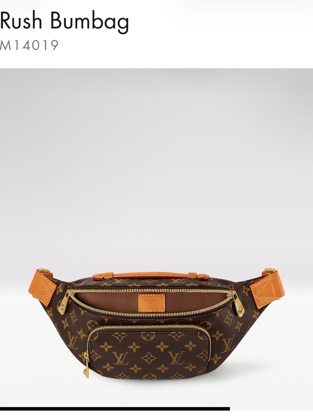 Louis Vuitton Monogram Canvas Bumbag with Tan Trim